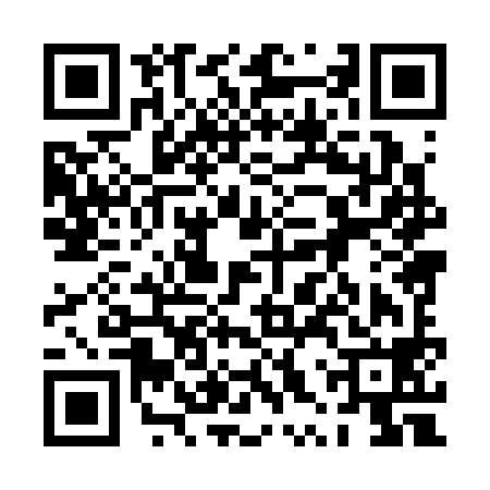 QR code for 0XX398G