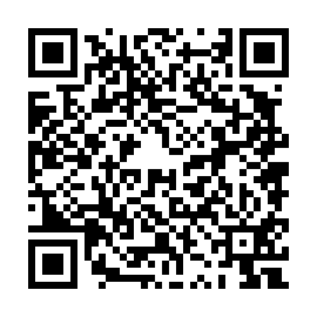 QR code for 0ZN411Z