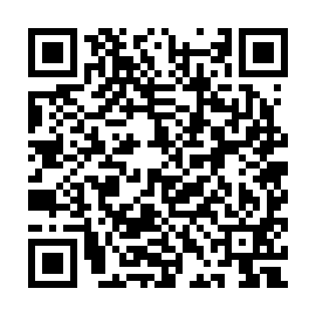 QR code for 1DG291E