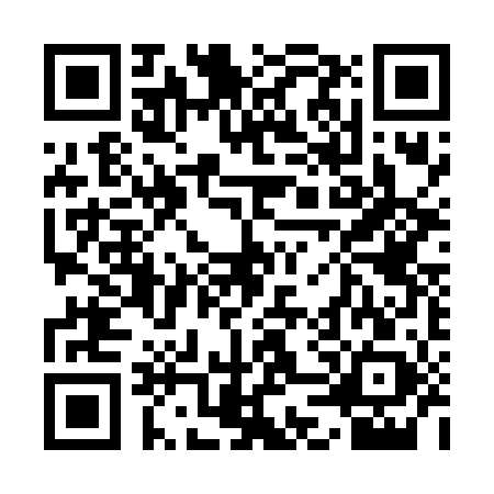 QR code for 1DS609T
