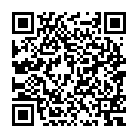 QR code for 1DX291E