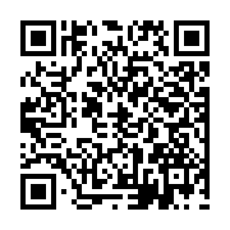 QR code for 1FS383Q