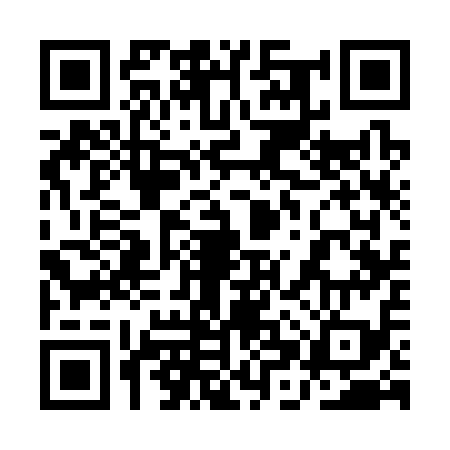 QR code for 1HS319I