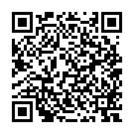 QR code for 1IC389C