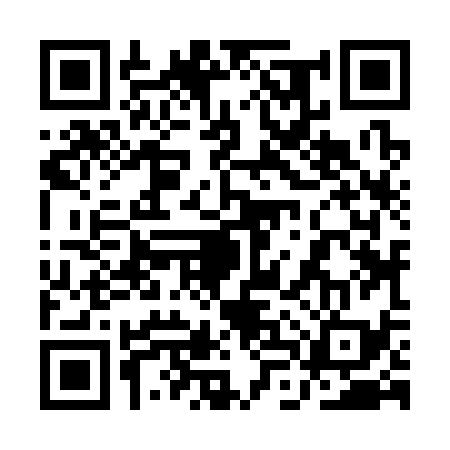 QR code for 1LZ339P