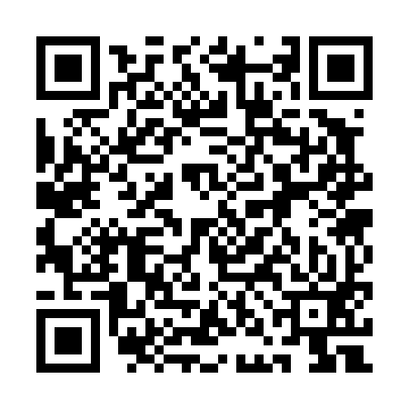 QR code for 1NC493V