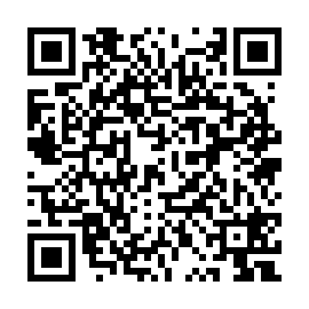 QR code for 1PA228X