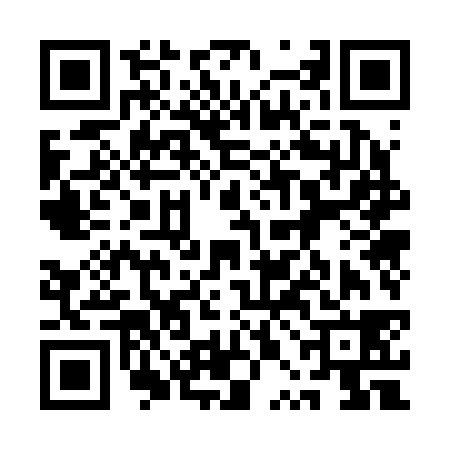 QR code for 1PO238E