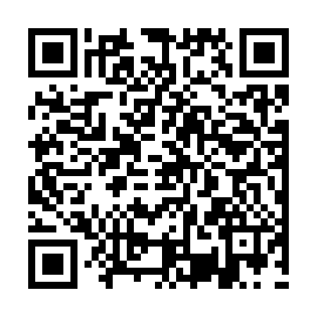 QR code for 1SG386E