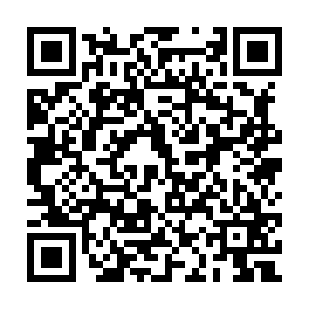 QR code for 2AQ863P