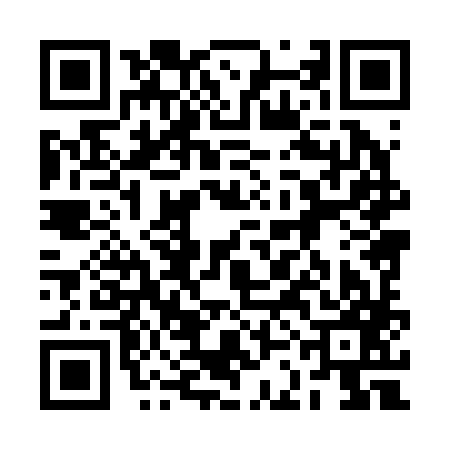 QR code for 2CH287G