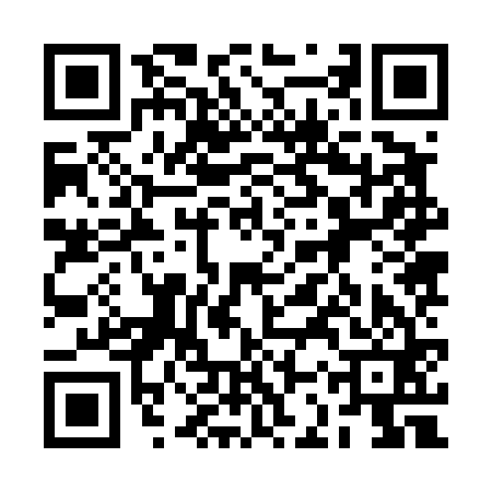 QR code for 2CZ461L
