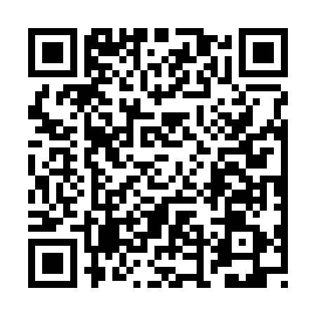 QR code for 2DG371E