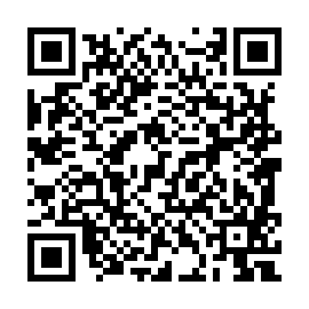 QR code for 2DL985N