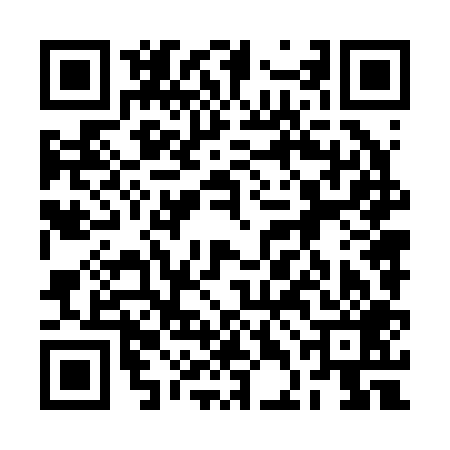 QR code for 2DN209F
