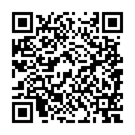 QR code for 2DN594M