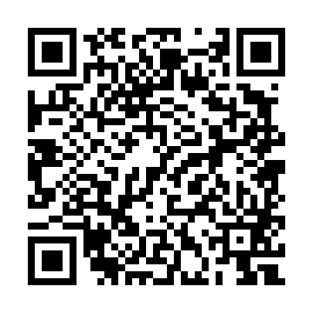 QR code for 2DP483S