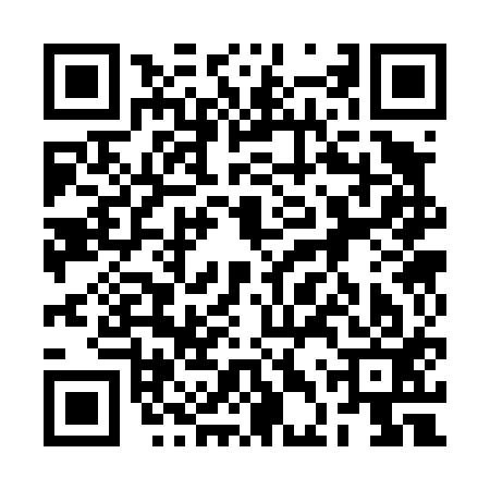 QR code for 2DS413K