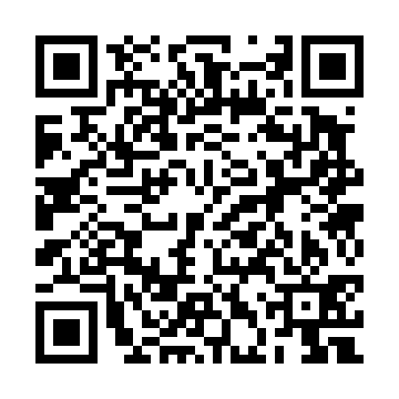 QR code for 2DS431G