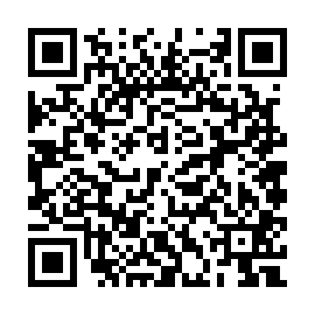 QR code for 2DV101N