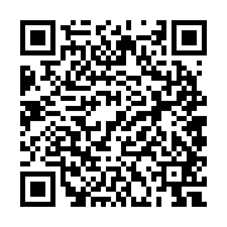 QR code for 2DV241M