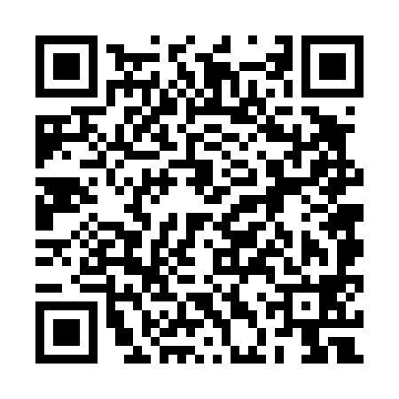 QR code for 2DV498N
