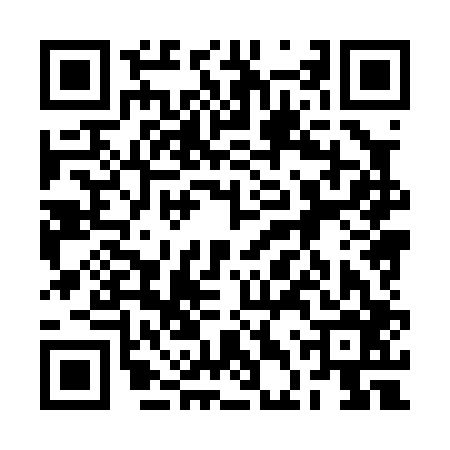 QR code for 2DX006B