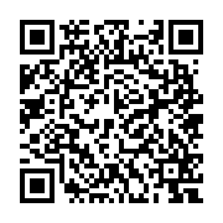 QR code for 2DZ665M