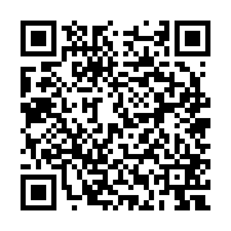QR code for 2EU203P