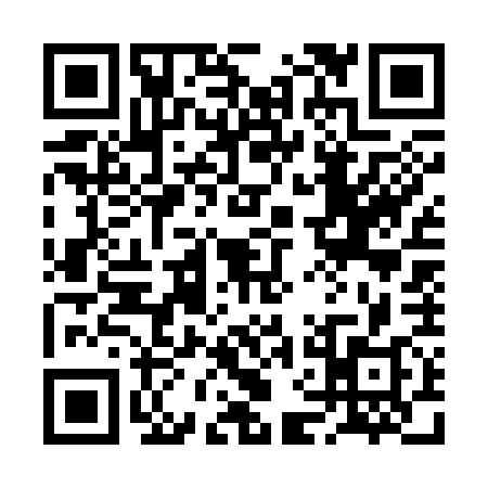 QR code for 2FG378S