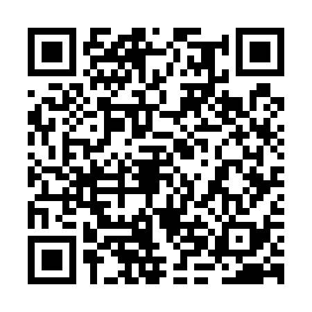 QR code for 2HG538X