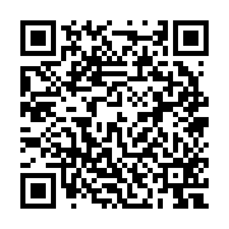 QR code for 2IA256S