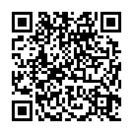 QR code for 2IB323T