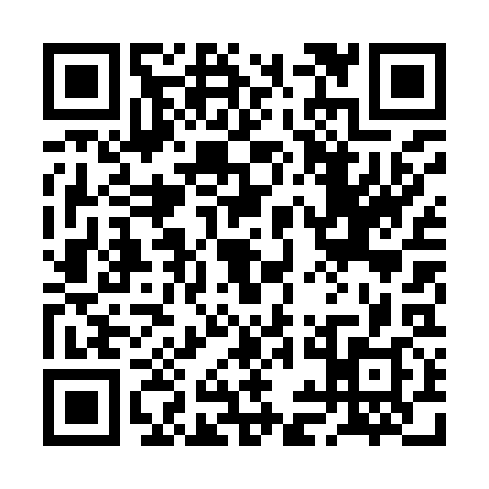 QR code for 2IL938Z