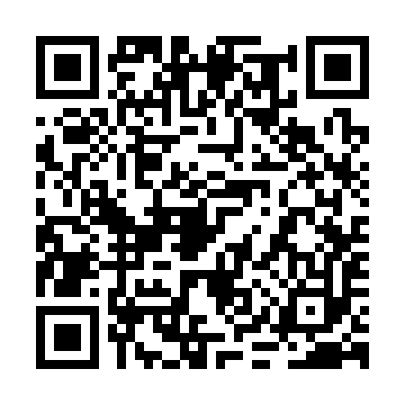 QR code for 2IS392P