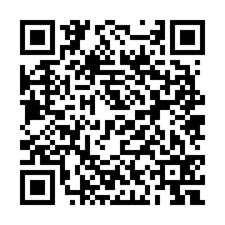 QR code for 2IZ636L