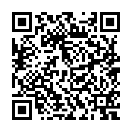 QR code for 2LP911R