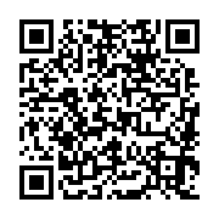 QR code for 2MO291Q