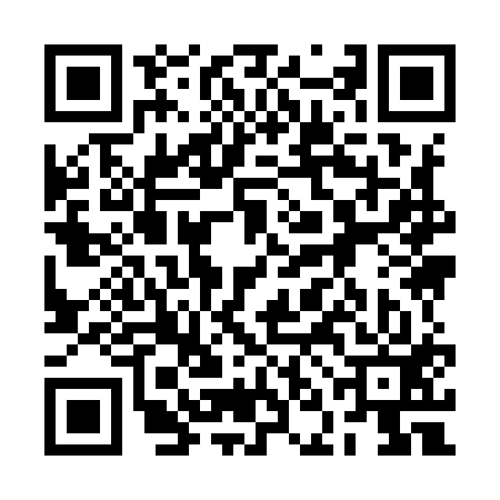 QR code for 2NI913Q