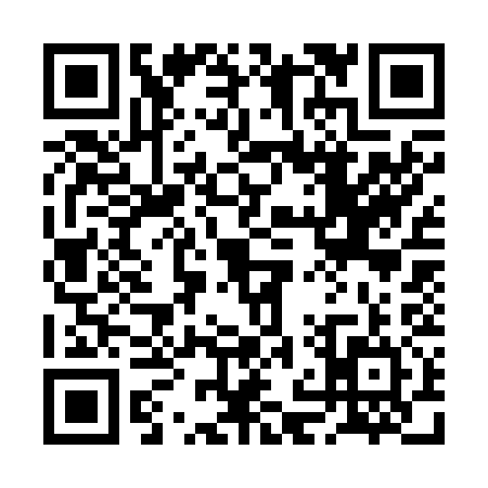 QR code for 2NS234M