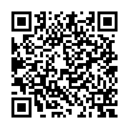 QR code for 2NS516V