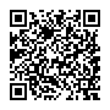 QR code for 2NV993G