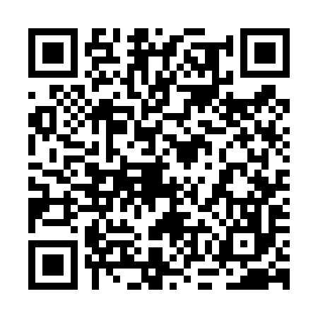 QR code for 2OG496I