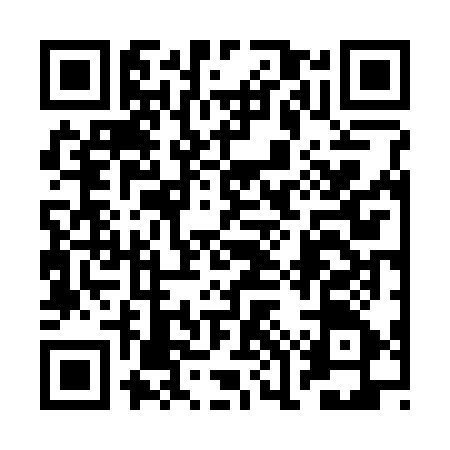 QR code for 2OV375P