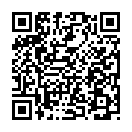 QR code for 2PI593Q