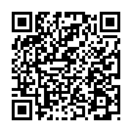 QR code for 2PL385Y