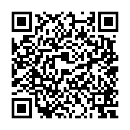 QR code for 2PO449U