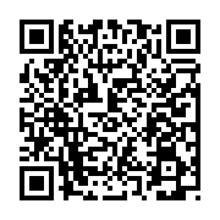 QR code for 2PV096U