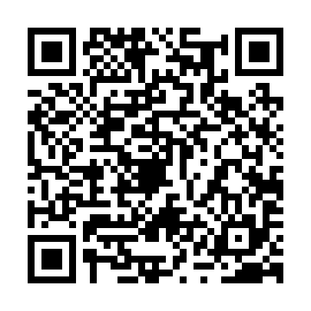 QR code for 2QD295Z
