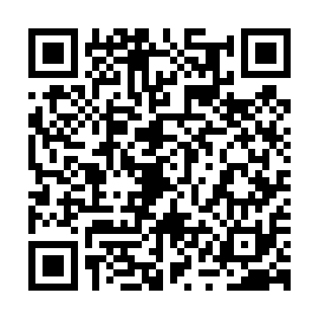 QR code for 2QG411K
